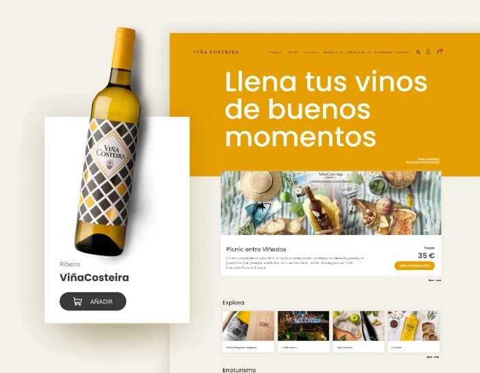 Cover image work Viña Costeira